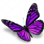This image has an empty alt attribute; its file name is Screenshot-2022-03-15-10.08.46-PM-150x150.png